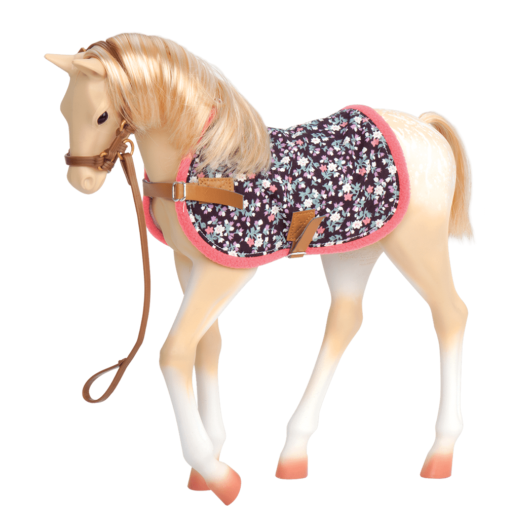 Palomino Foal all components 